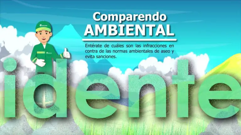 Que Es El Comparendo Ambiental